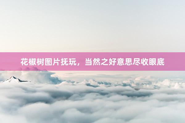 花椒树图片抚玩，当然之好意思尽收眼底