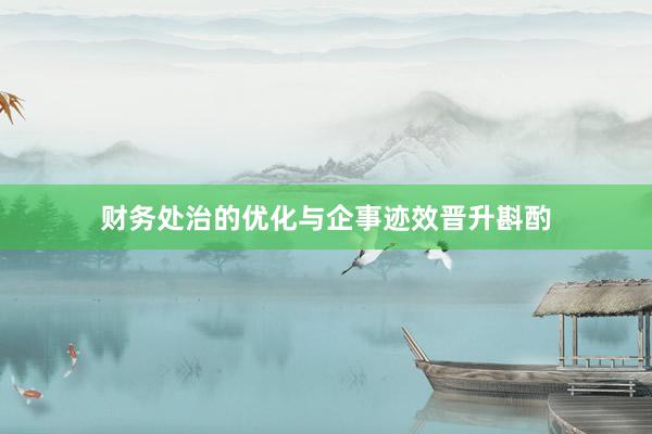 财务处治的优化与企事迹效晋升斟酌