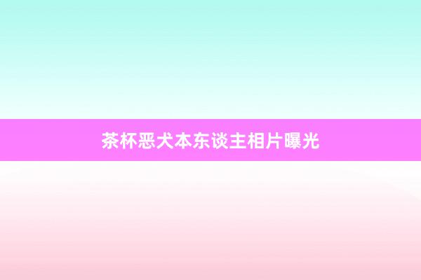 茶杯恶犬本东谈主相片曝光